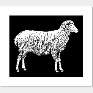 Sheep Art Posters and Art